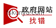 政府网站找错